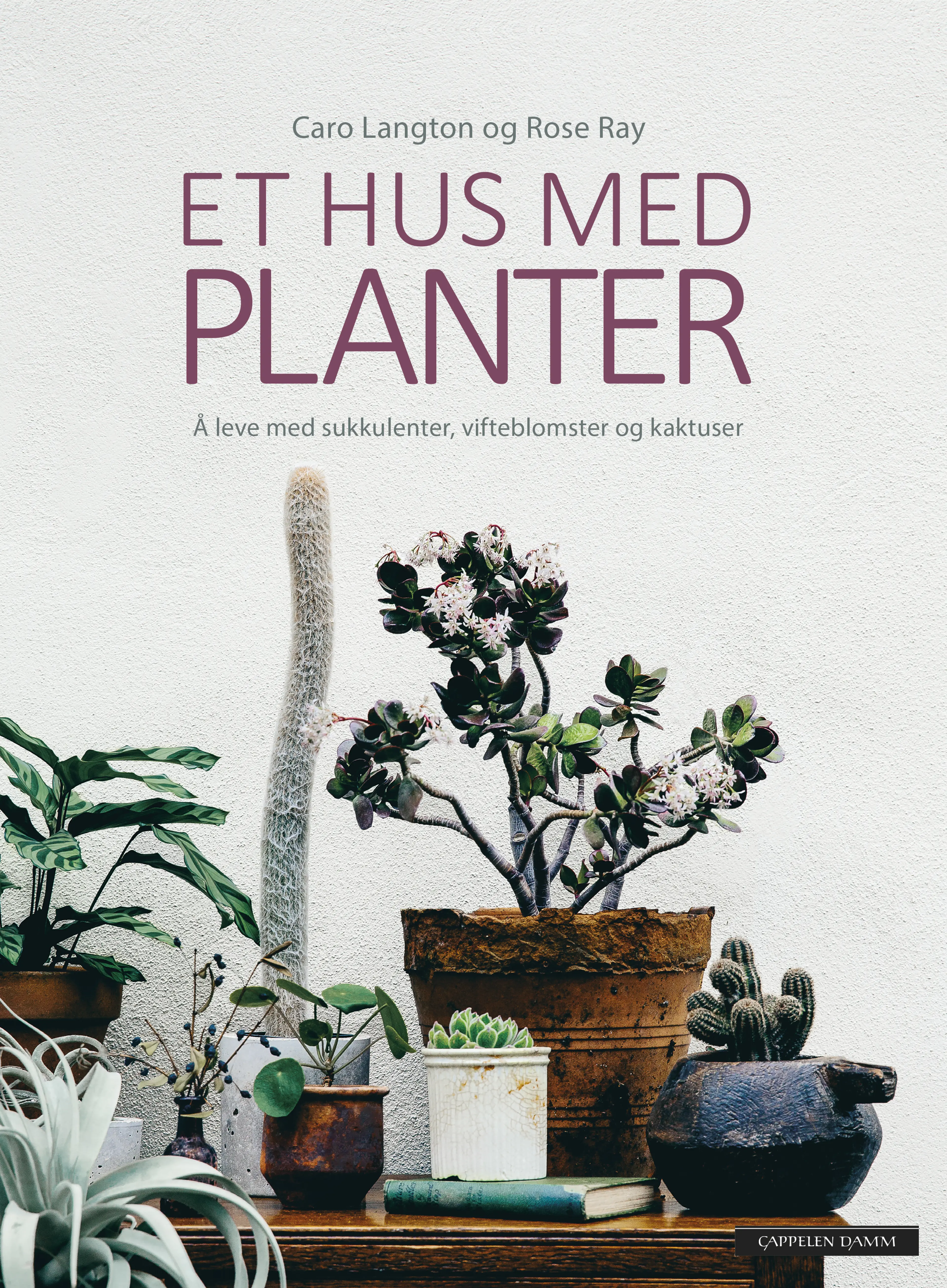 Omslag Et hus med planter av Caro Langton og Rose Ray (Innbundet)