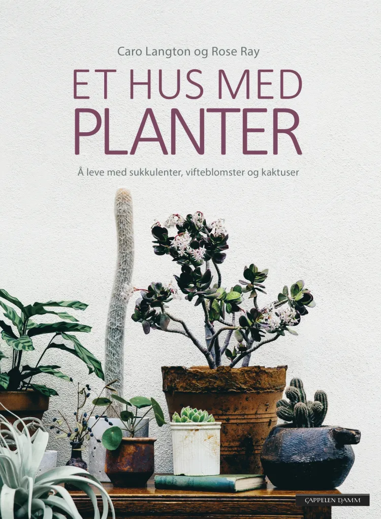 Omslag Et hus med planter av Caro Langton og Rose Ray (Innbundet)