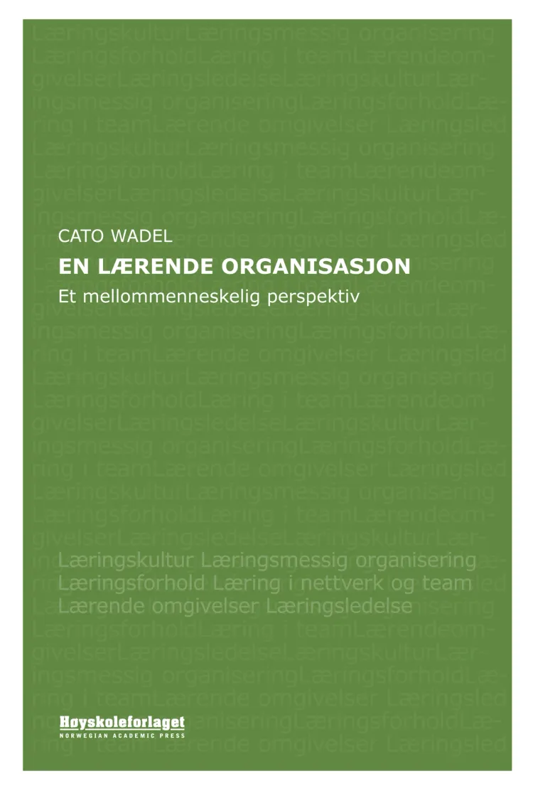 Omslag En lærende organisasjon av Cato Wadel (Heftet)
