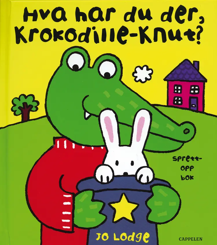 Omslag Hva har du der, Krokodille-Knut? av Jo Lodge (Innbundet)