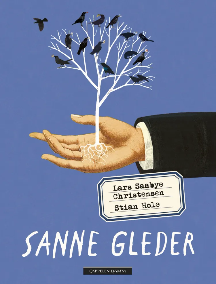 Omslag Sanne gleder av Lars Saabye Christensen (Innbundet)