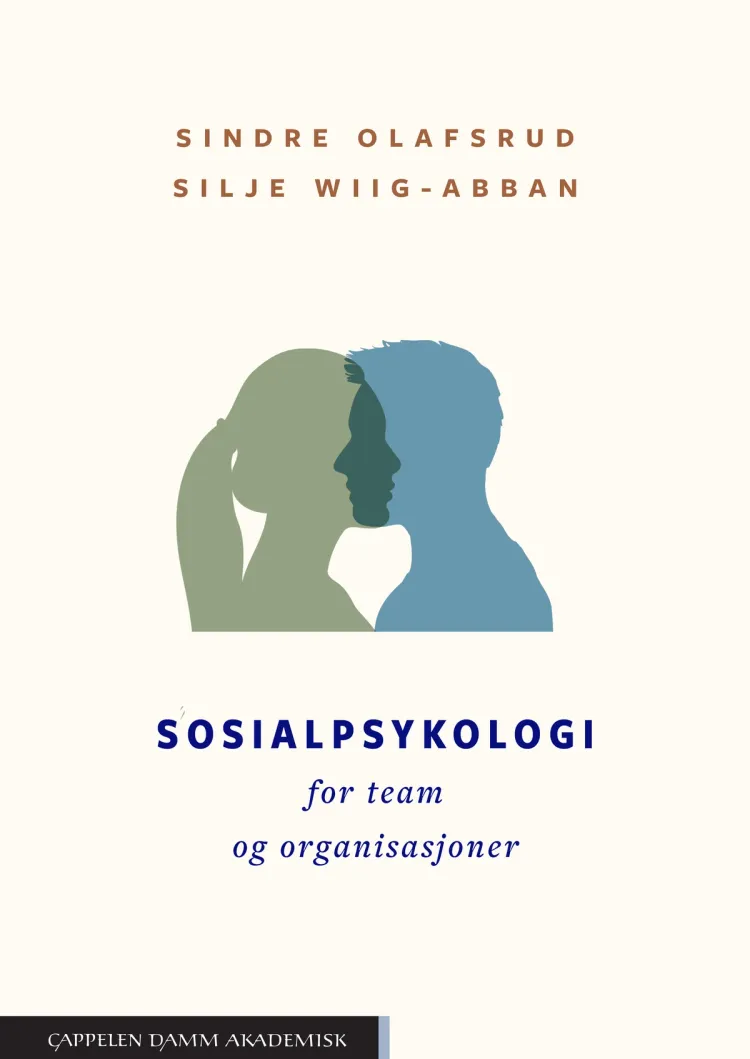 Omslag Sosialpsykologi for team og organisasjoner av Sindre Olafsrud og Silje Wiig-Abban (Heftet)