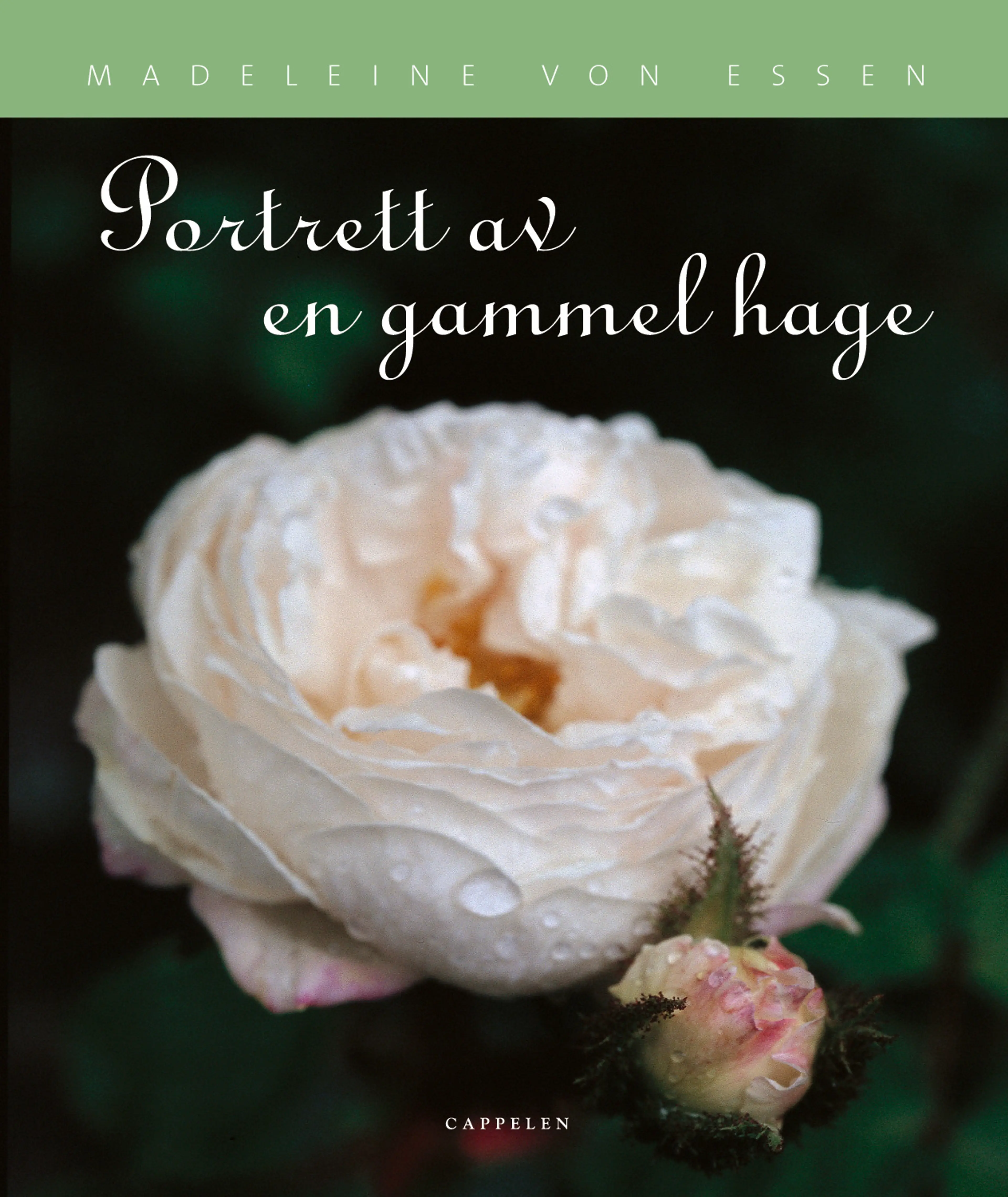 Omslag Portrett av en gammel hage av Madeleine von Essen (Innbundet)