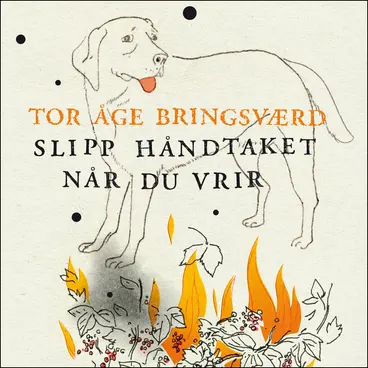 Omslag Slipp håndtaket når du vrir av Tor Åge Bringsværd (Lydbok)
