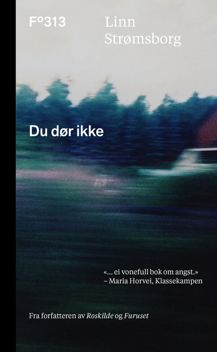 Omslag Du dør ikke av Linn Strømsborg (Heftet)
