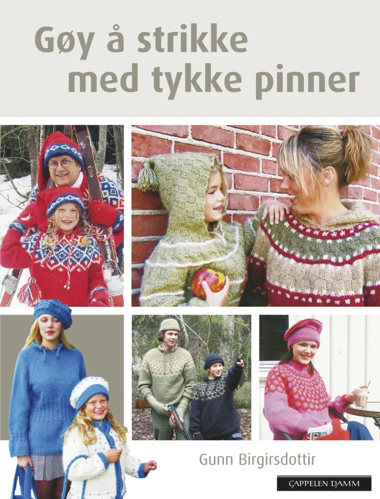 Omslag Gøy å strikke med tykke pinner av Gunn Birgirsdottir (Innbundet)