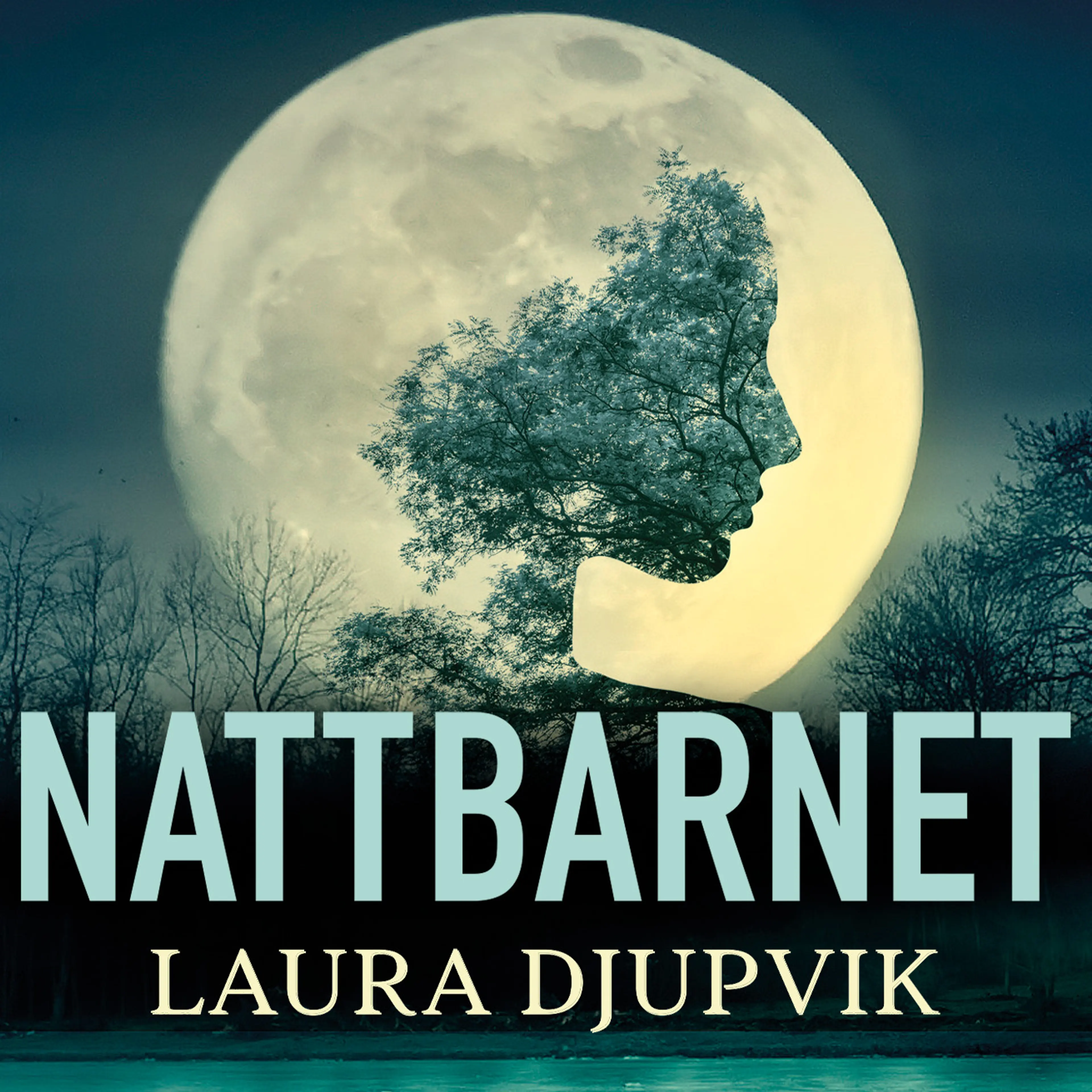 Omslag Nattbarnet av Laura Djupvik (Lydbok)