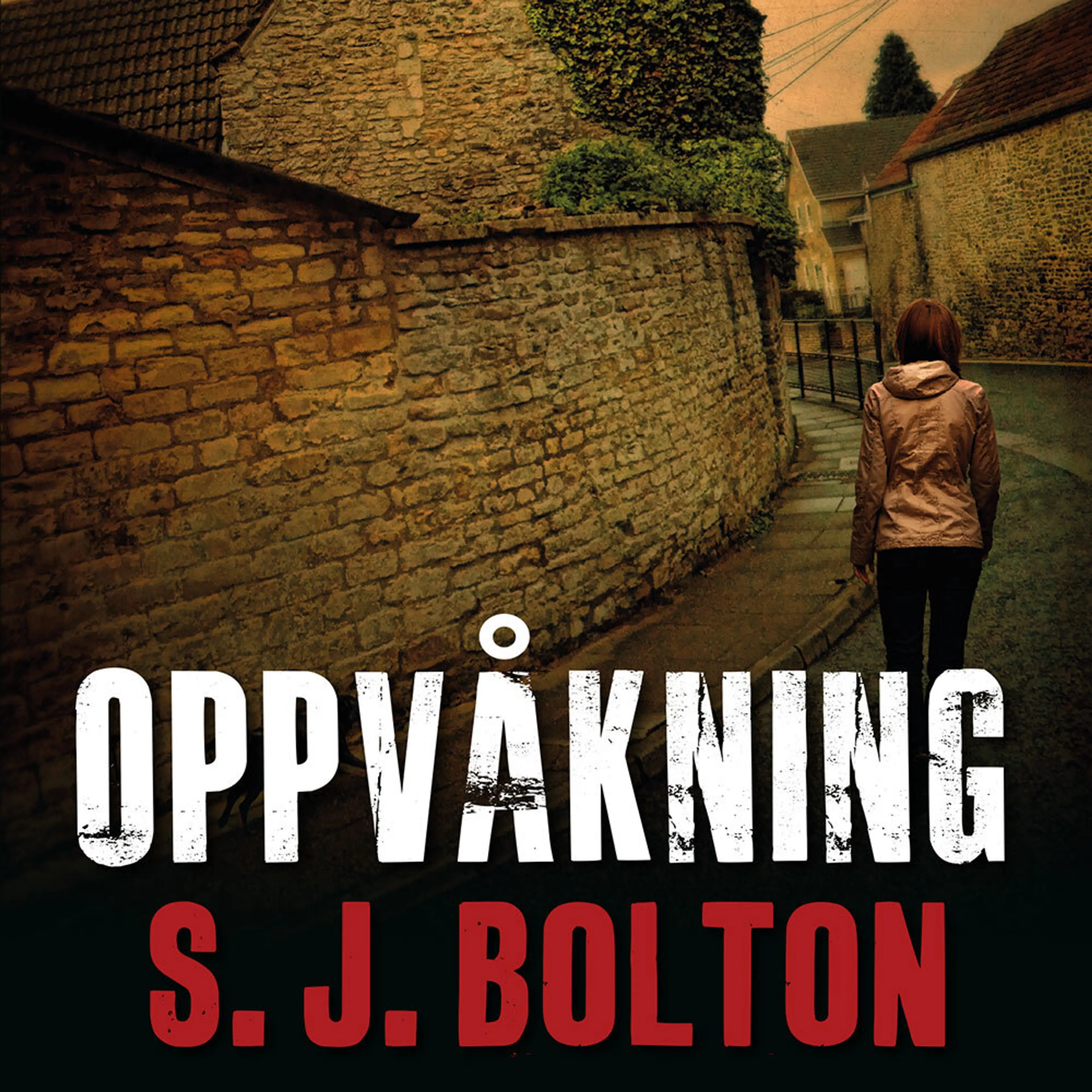 Omslag Oppvåkning av S.J. Bolton (Lydbok)