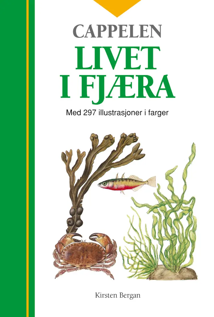 Omslag Livet i fjæra av Kirsten Bergan (Innbundet)