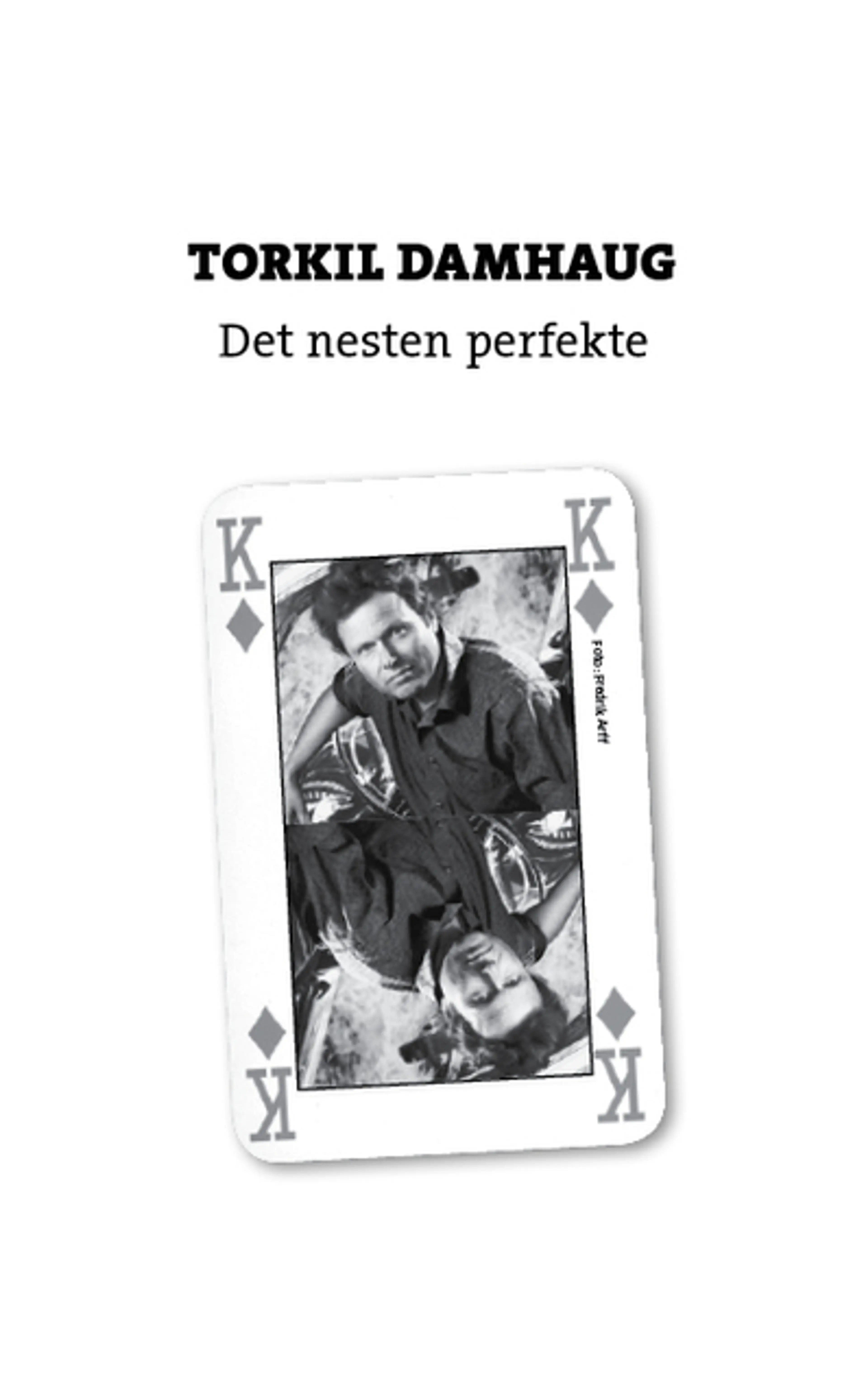 Omslag Det nesten perfekte av Torkil Damhaug (Ebok)