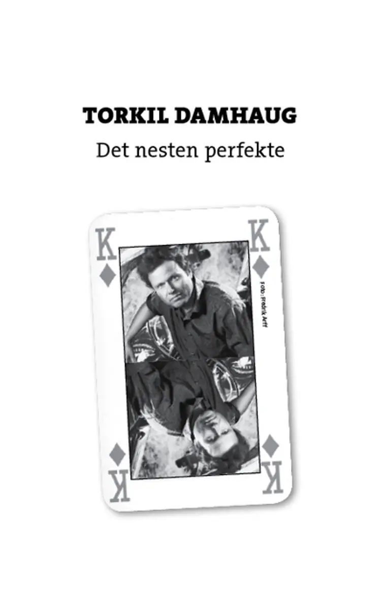 Omslag Det nesten perfekte av Torkil Damhaug (Ebok)
