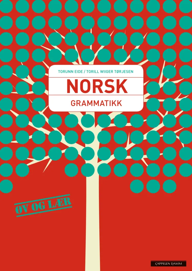 Omslag Norsk Grammatikk av Torunn Eide og Torill Wiiger Tørjesen (Heftet)