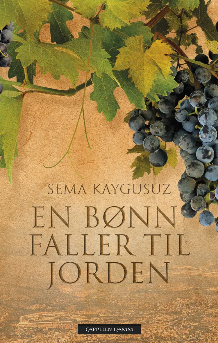 Omslag En bønn faller til jorden av Sema Kaygusuz (Innbundet)