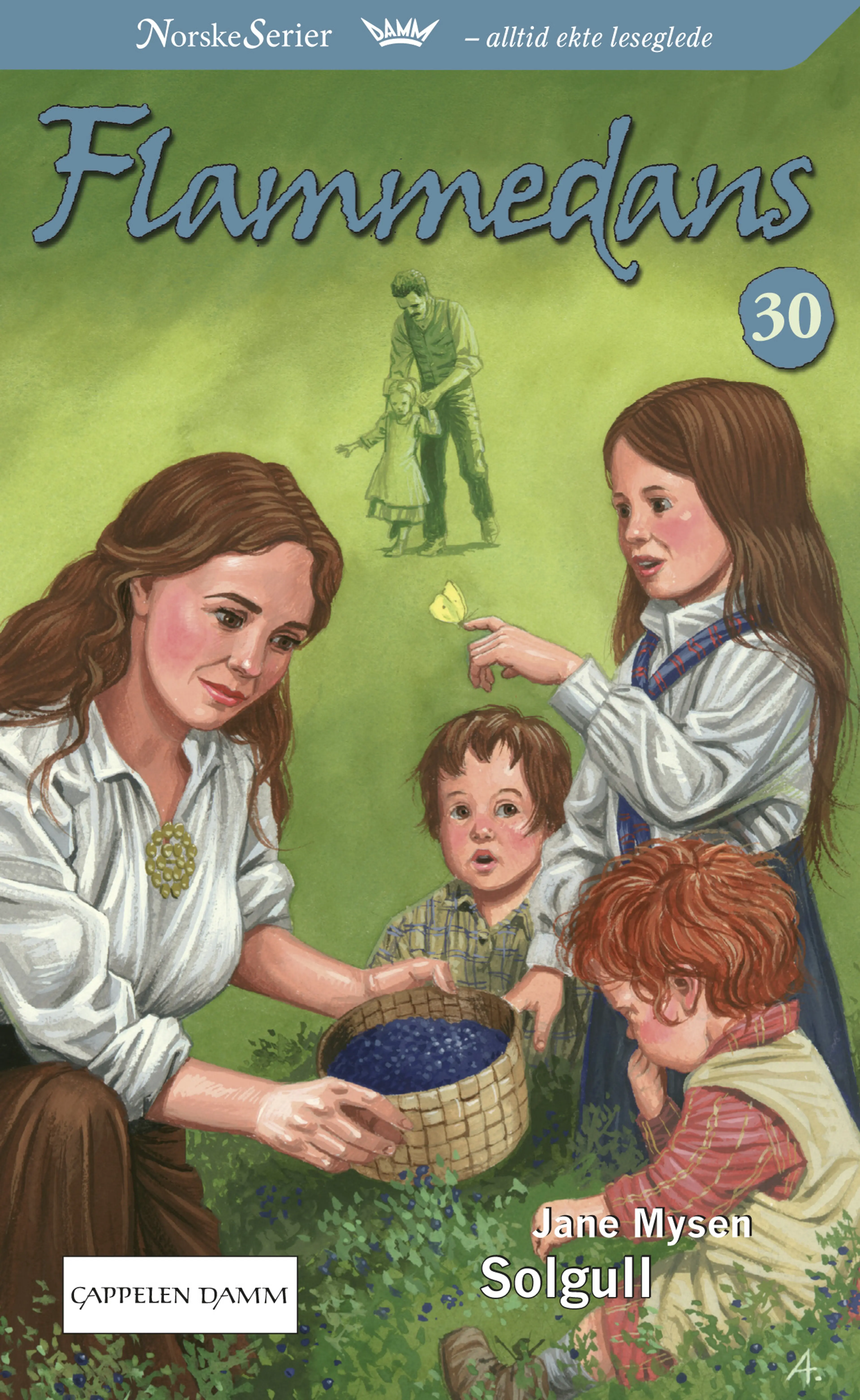 Omslag Solgull av Jane Mysen (Ebok)