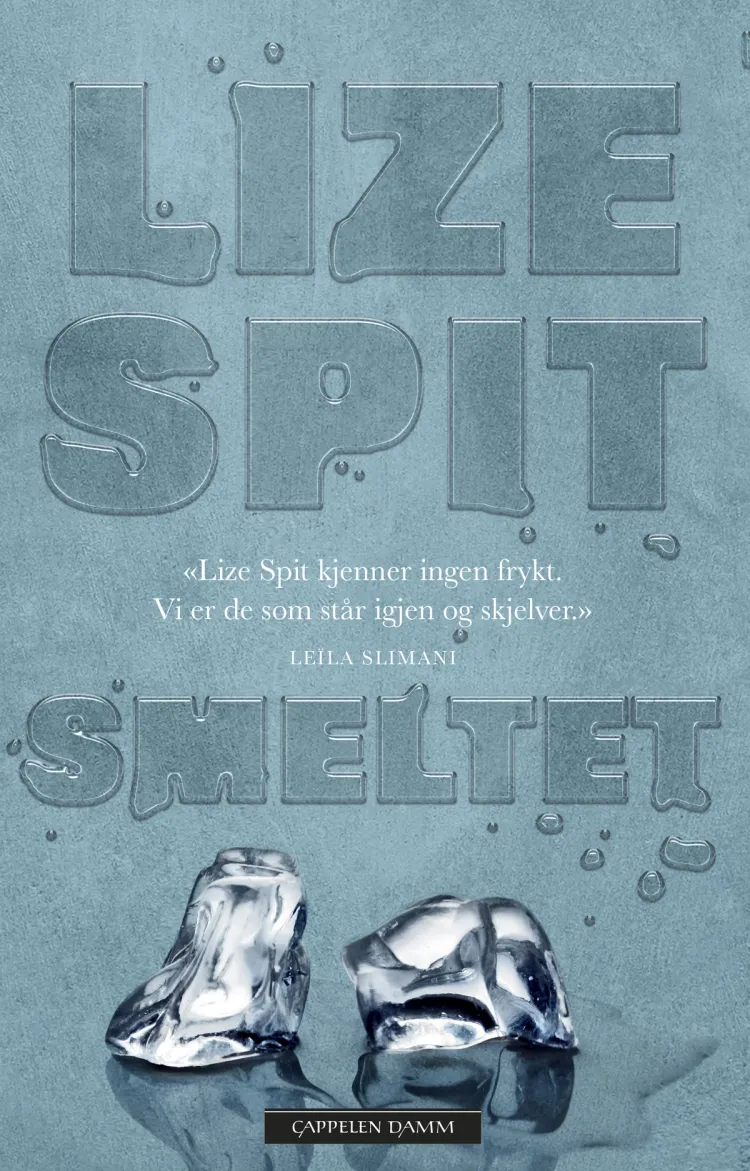 Omslag Smeltet av Lize Spit (Ebok)