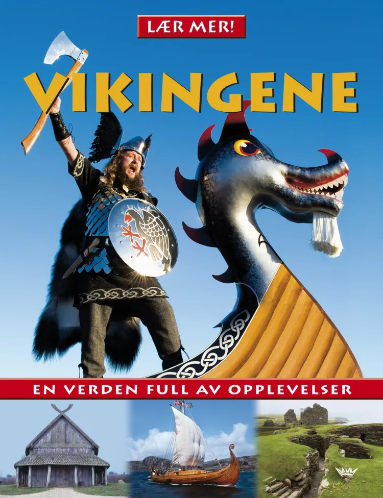 Omslag Vikingene av Lorrie Mack og Carrie Love (Innbundet)
