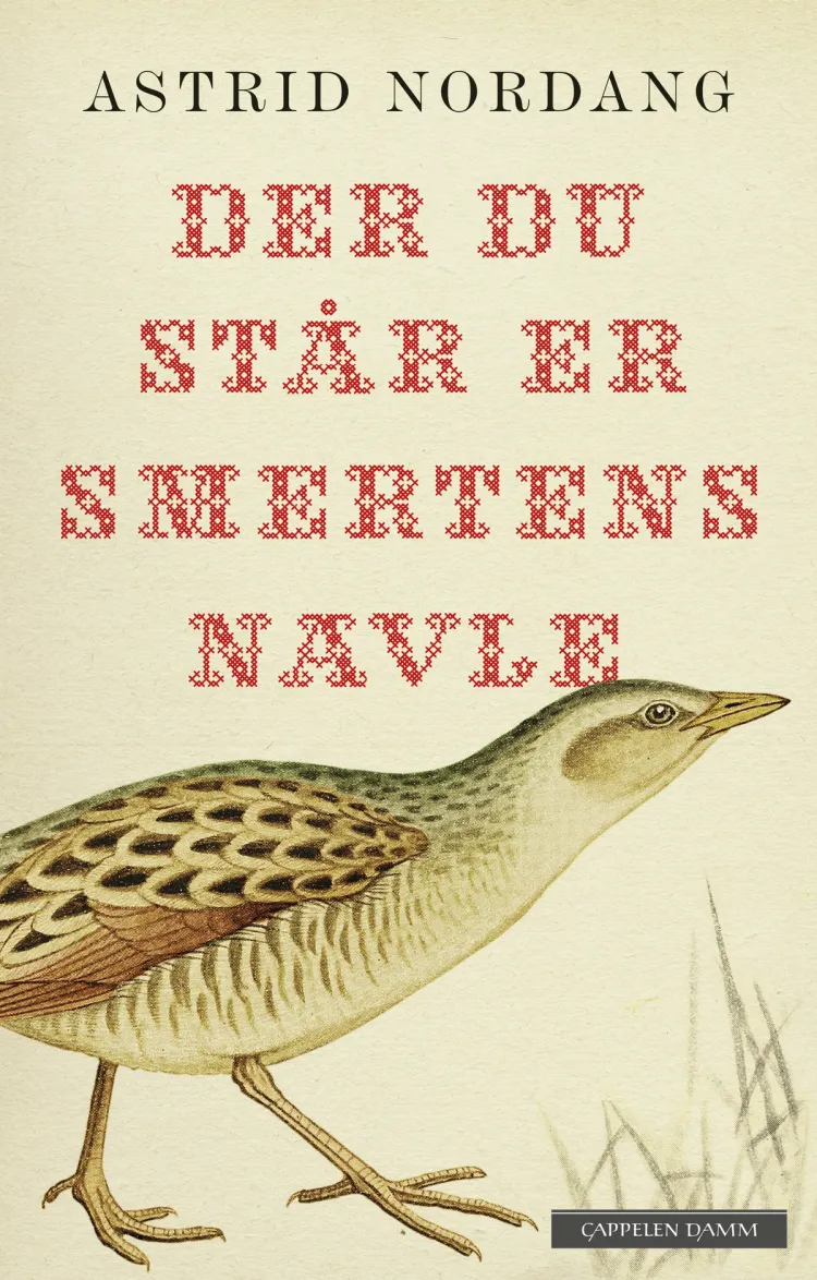 Omslag Der du står er smertens navle av Astrid Nordang (Ebok)
