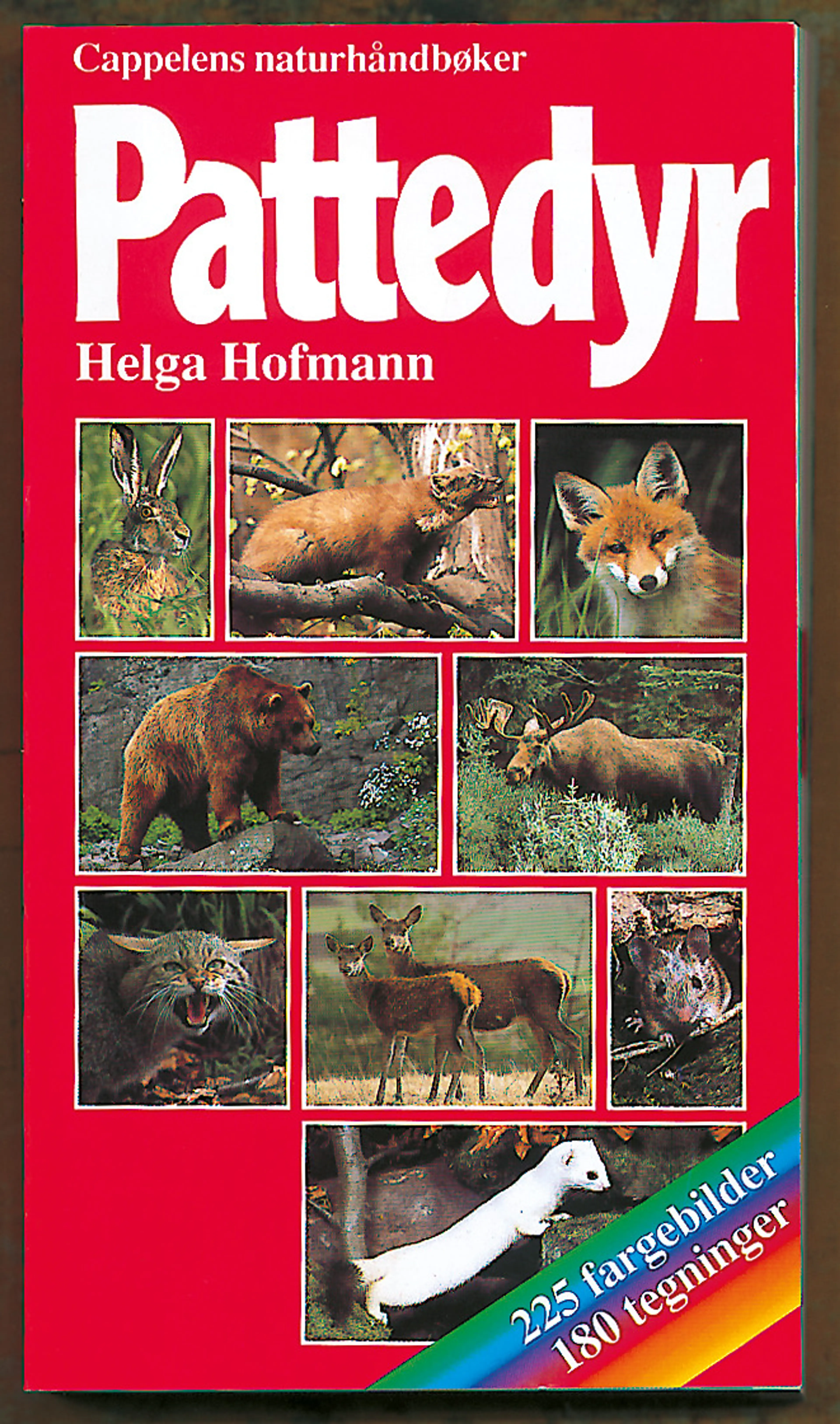 Omslag Pattedyr av Helga Hofmann (Heftet)