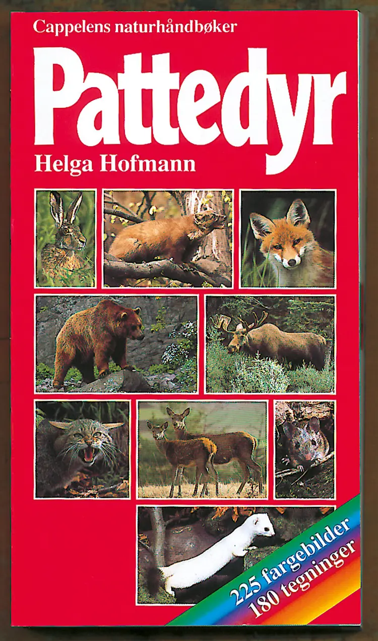 Omslag Pattedyr av Helga Hofmann (Heftet)