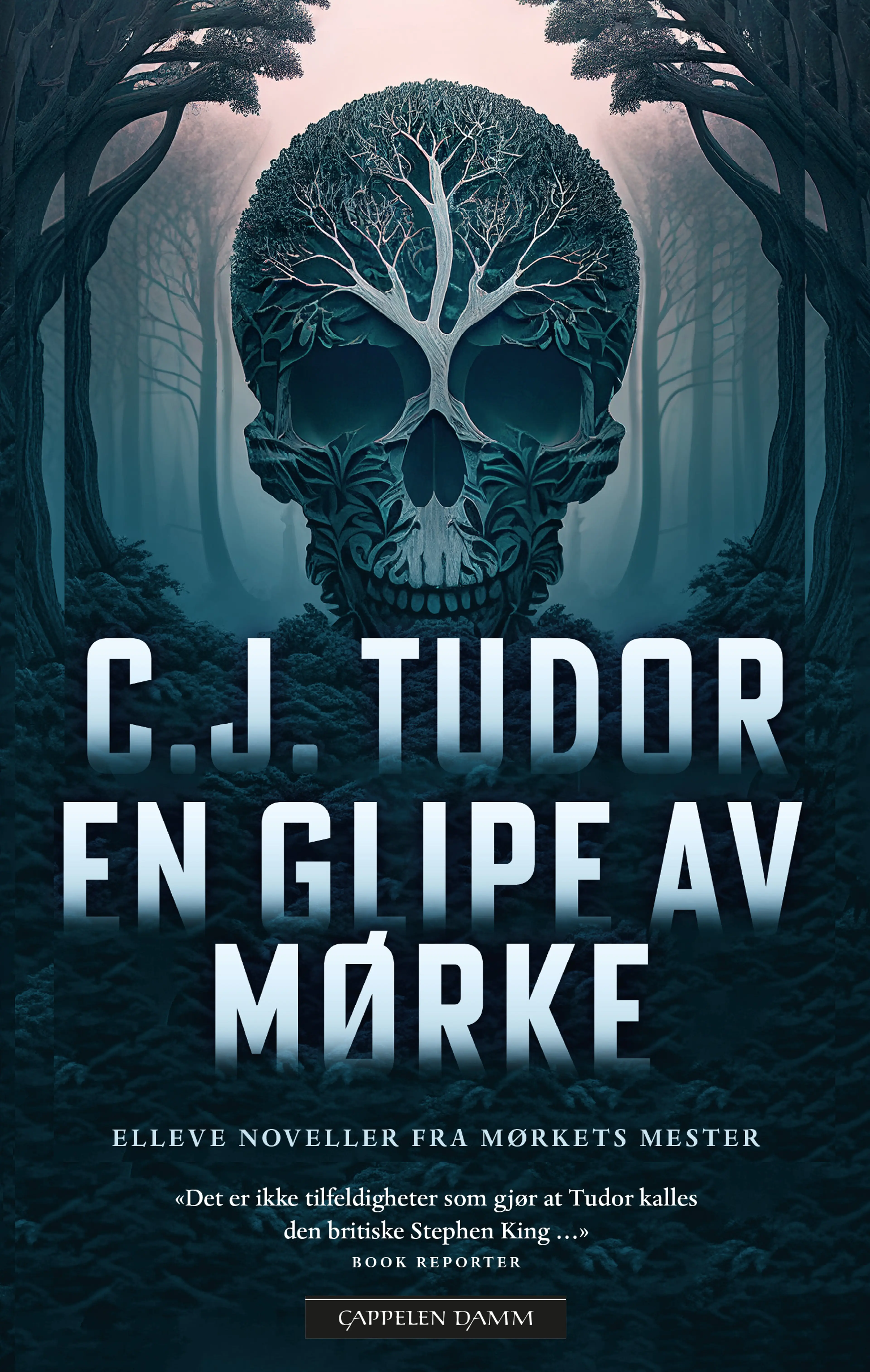 Omslag En glipe av mørke av C.J. Tudor (Ebok)