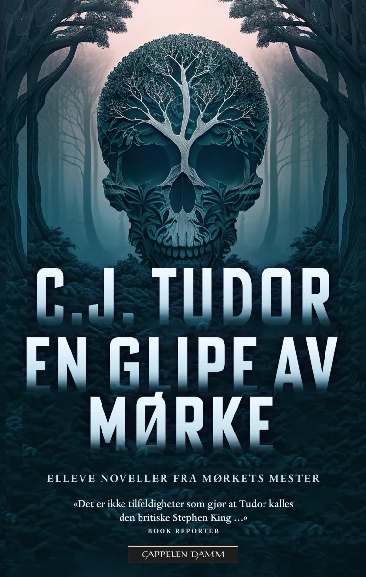 Omslag En glipe av mørke av C.J. Tudor (Ebok)
