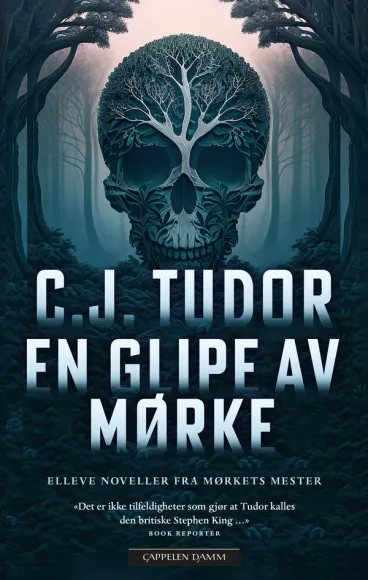 Omslag En glipe av mørke av C.J. Tudor (Heftet)