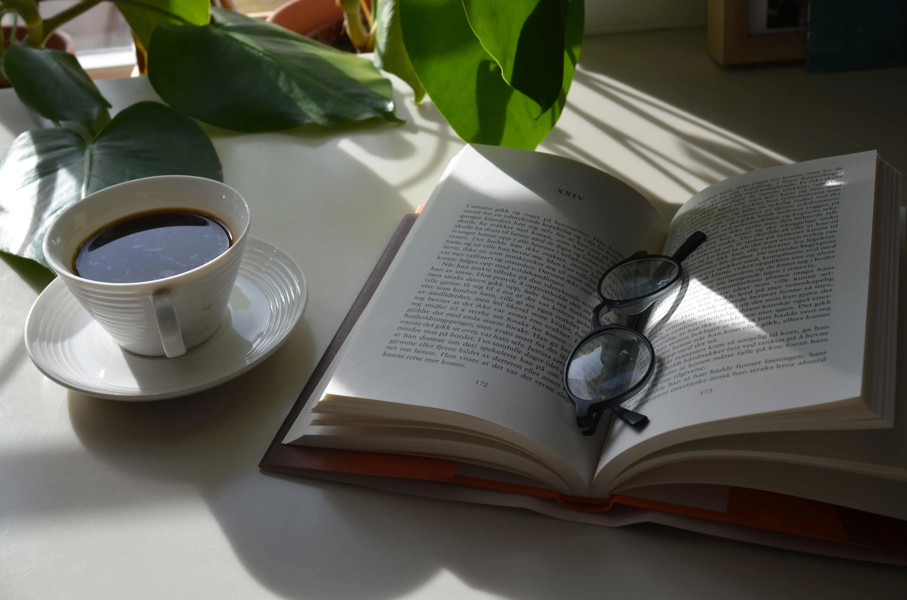 kaffekopp og bok