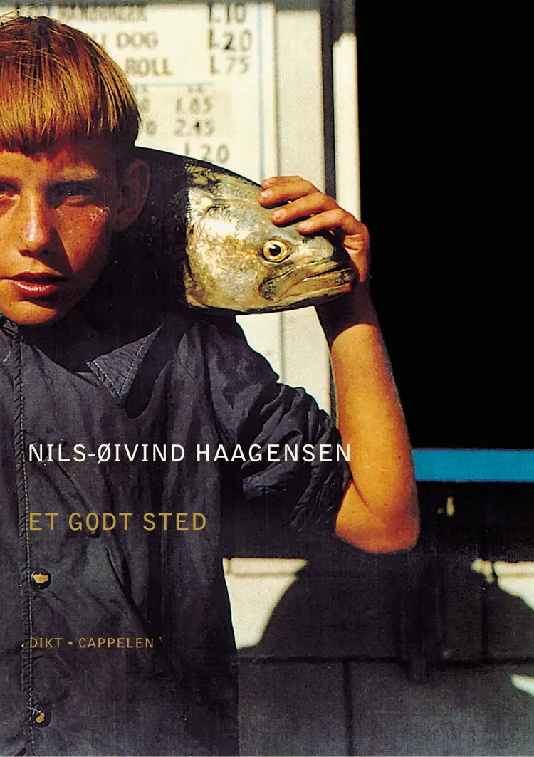 Omslag Et godt sted av Nils-Ø Haagensen (Heftet)