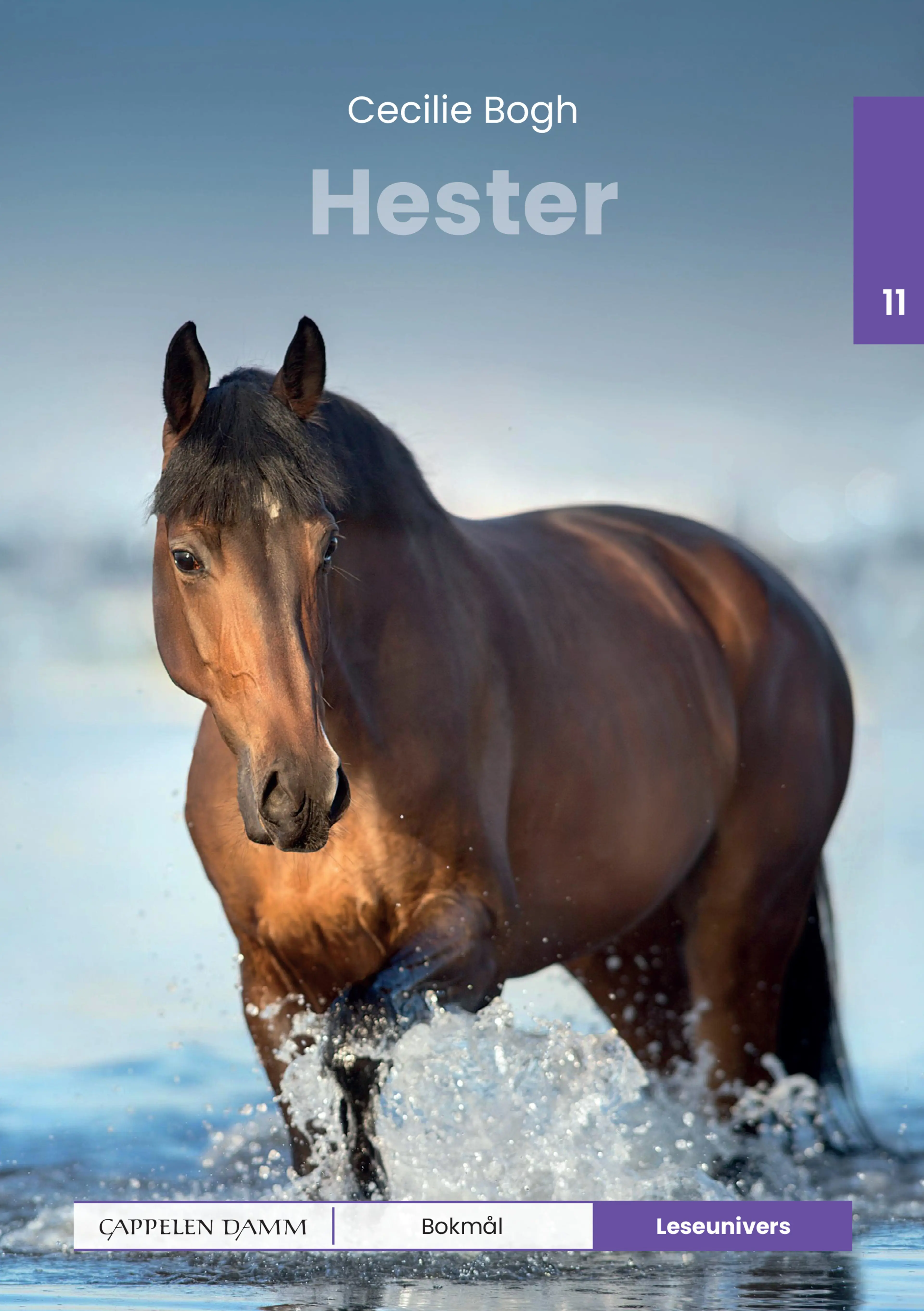 Omslag Leseunivers 11: Hester av Cecilie Bogh (Innbundet)