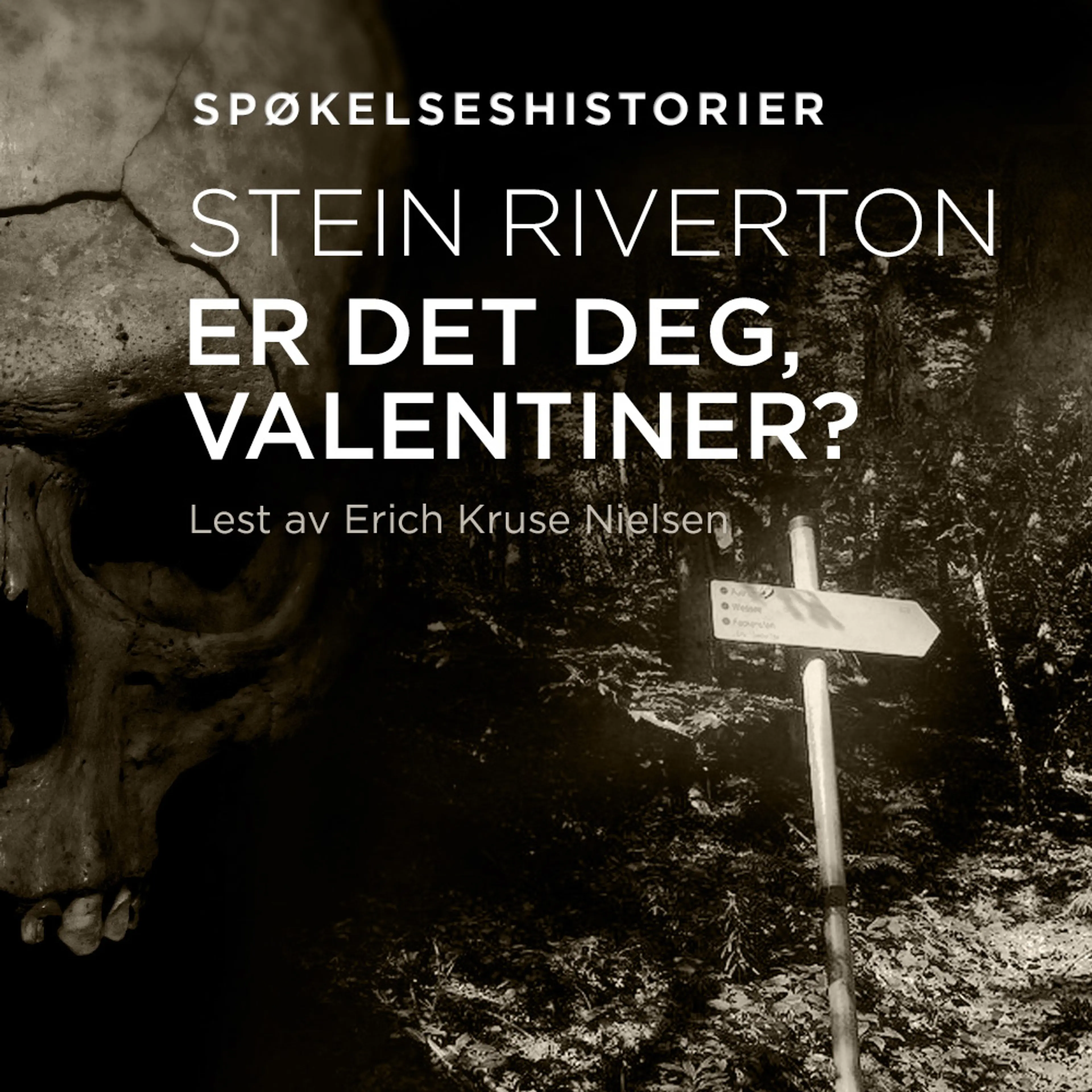 Omslag Er det deg, Valentiner? av Stein Riverton (Lydbok)