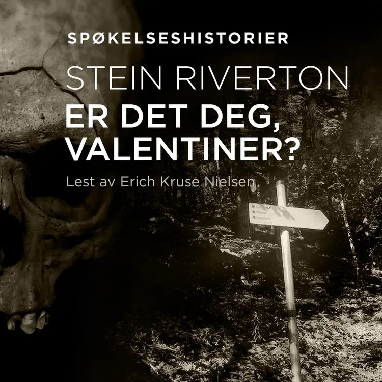 Omslag Er det deg, Valentiner? av Stein Riverton (Lydbok)
