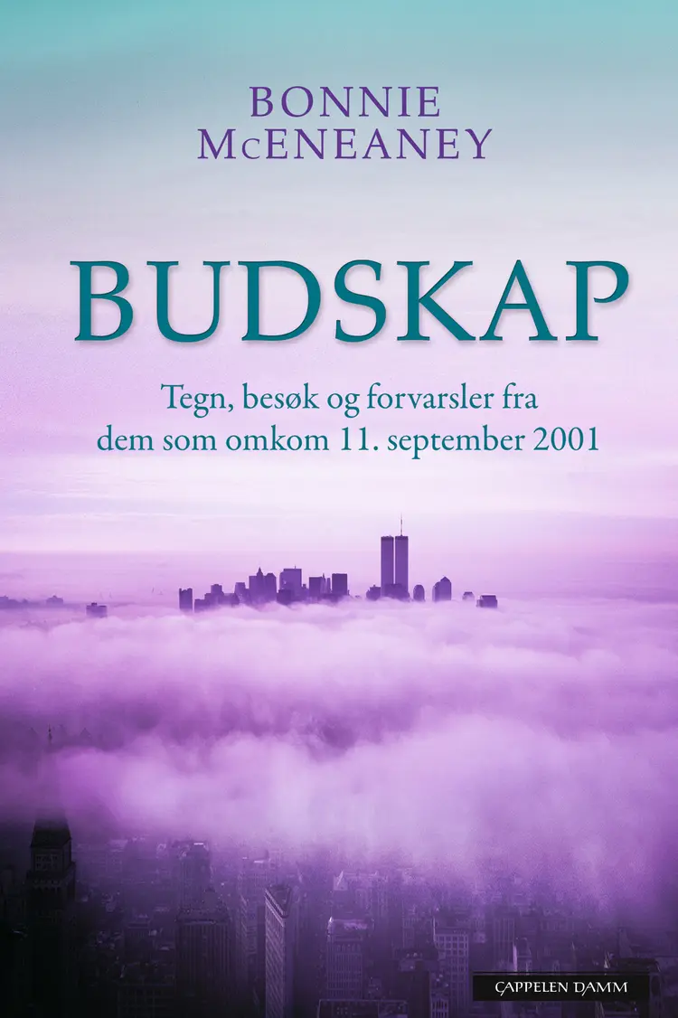 Omslag Budskap av Bonnie McEneaney (Innbundet)