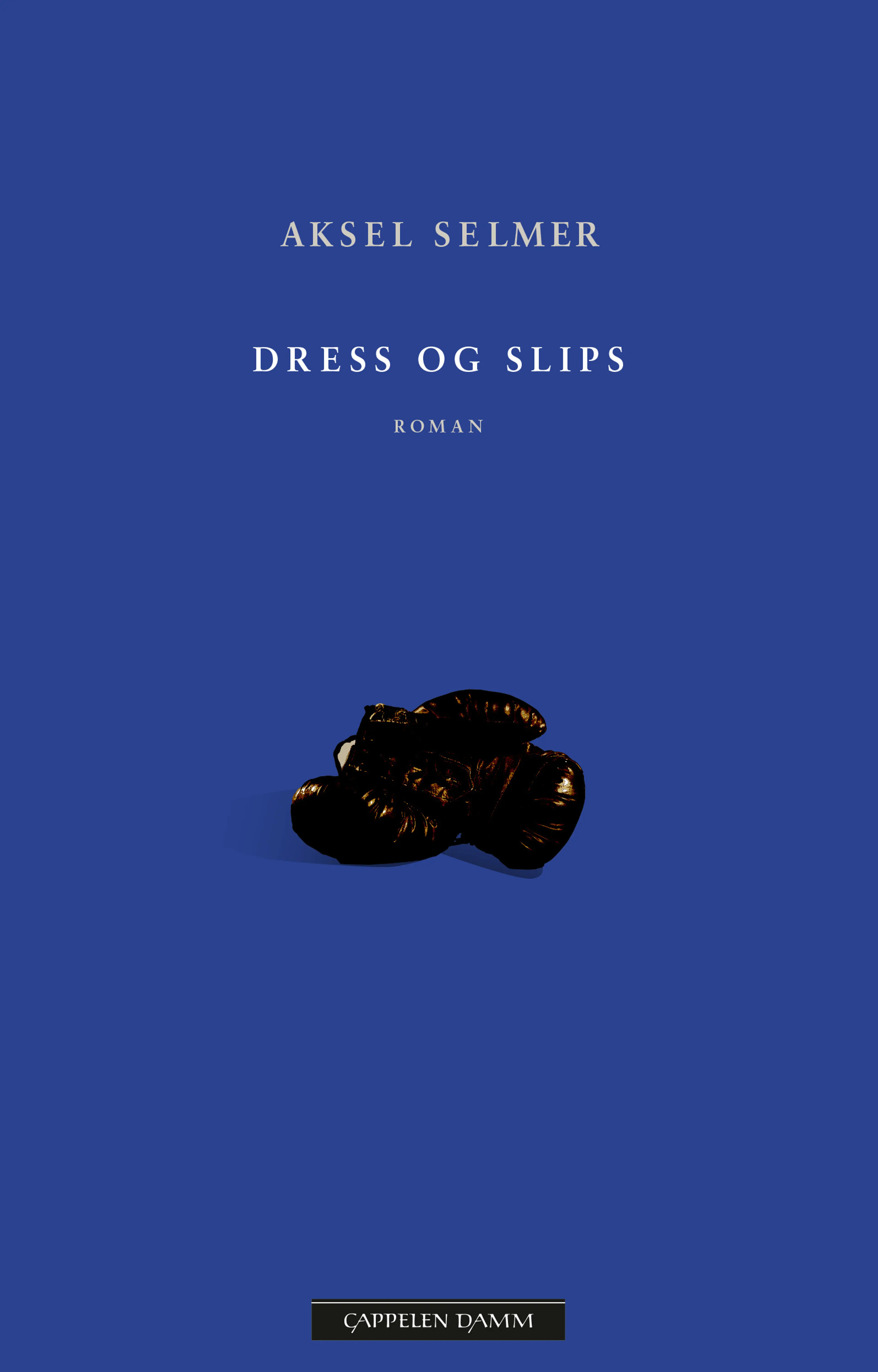 Omslag Dress og slips av Aksel Selmer (Innbundet)
