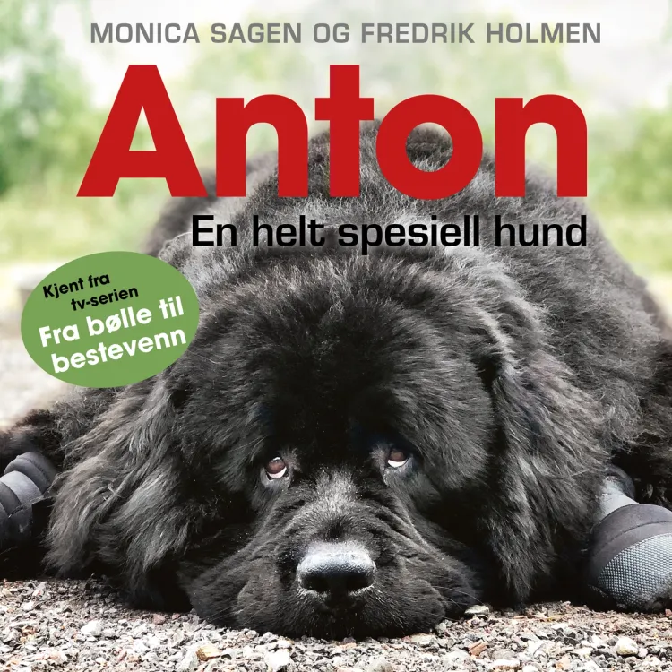 Omslag Anton - En helt spesiell hund av Monica Sagen og Fredrik Holmen (Lydbok)