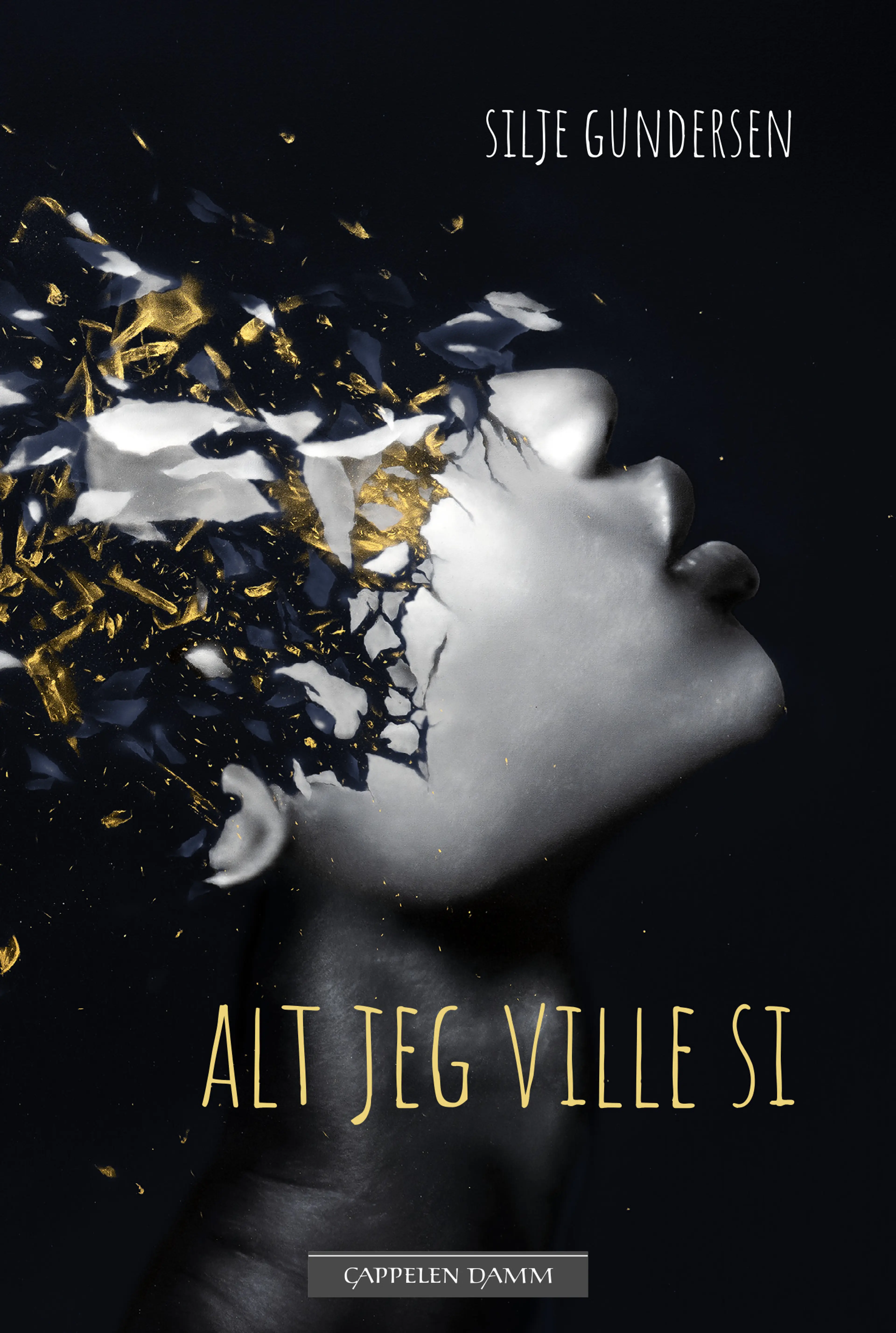 Omslag Alt jeg ville si av Silje Gundersen (Innbundet)