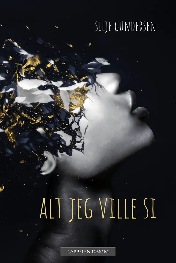 Omslag Alt jeg ville si av Silje Gundersen (Innbundet)