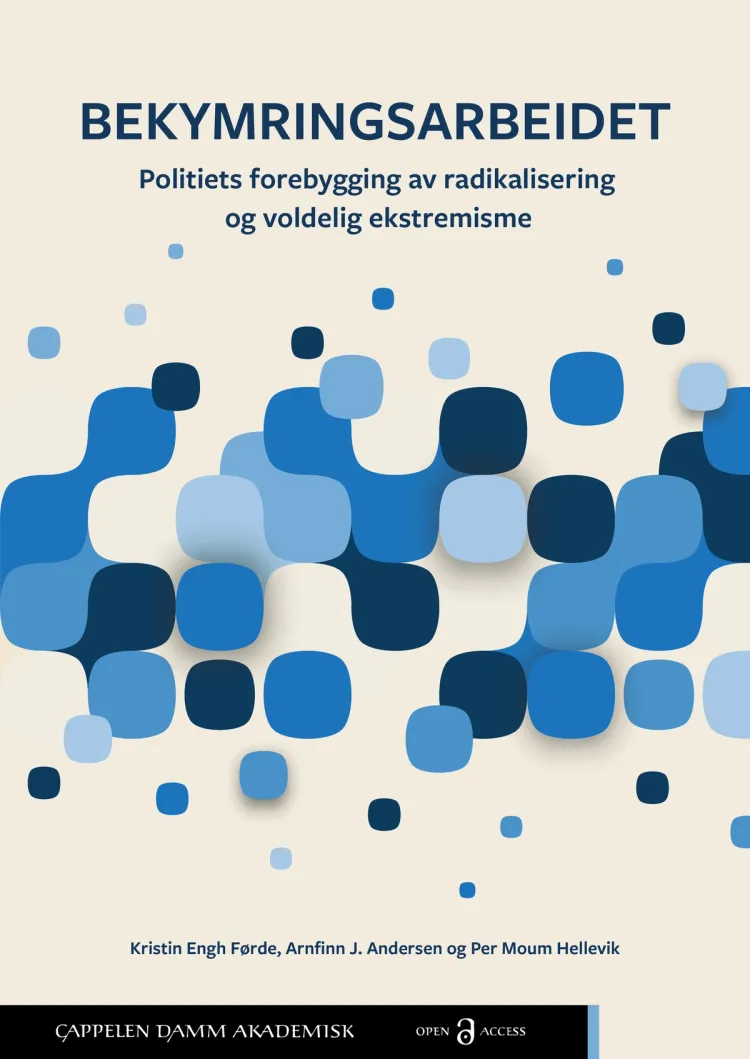 Omslag Bekymringsarbeidet av Kristin Engh Førde, Arnfinn J. Andersen og Per Moum Hellevik (Ebok)