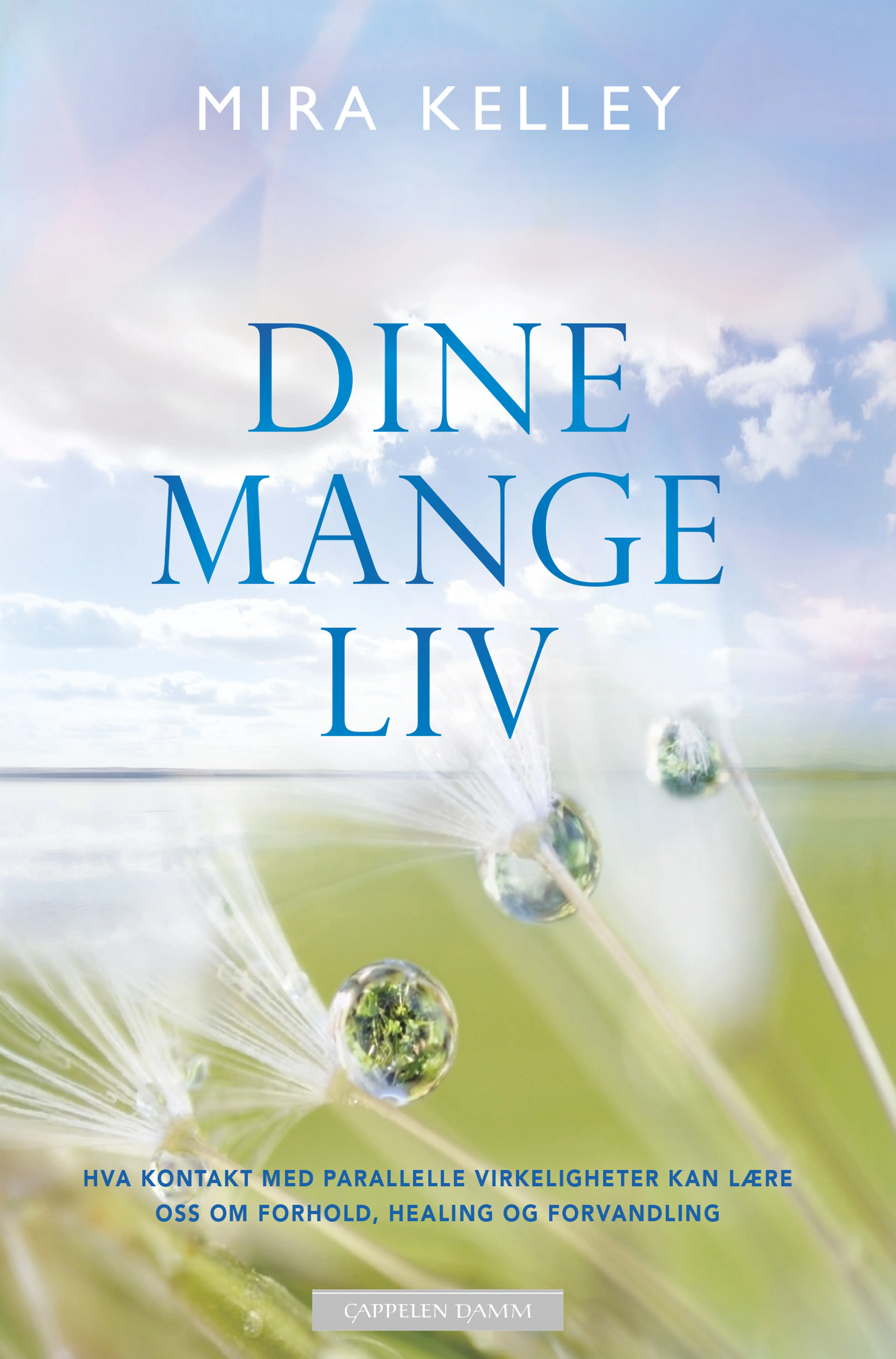 Omslag Dine mange liv av Mira Kelley (Heftet)
