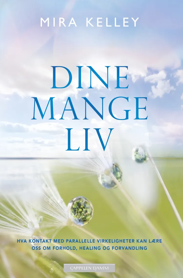 Omslag Dine mange liv av Mira Kelley (Heftet)