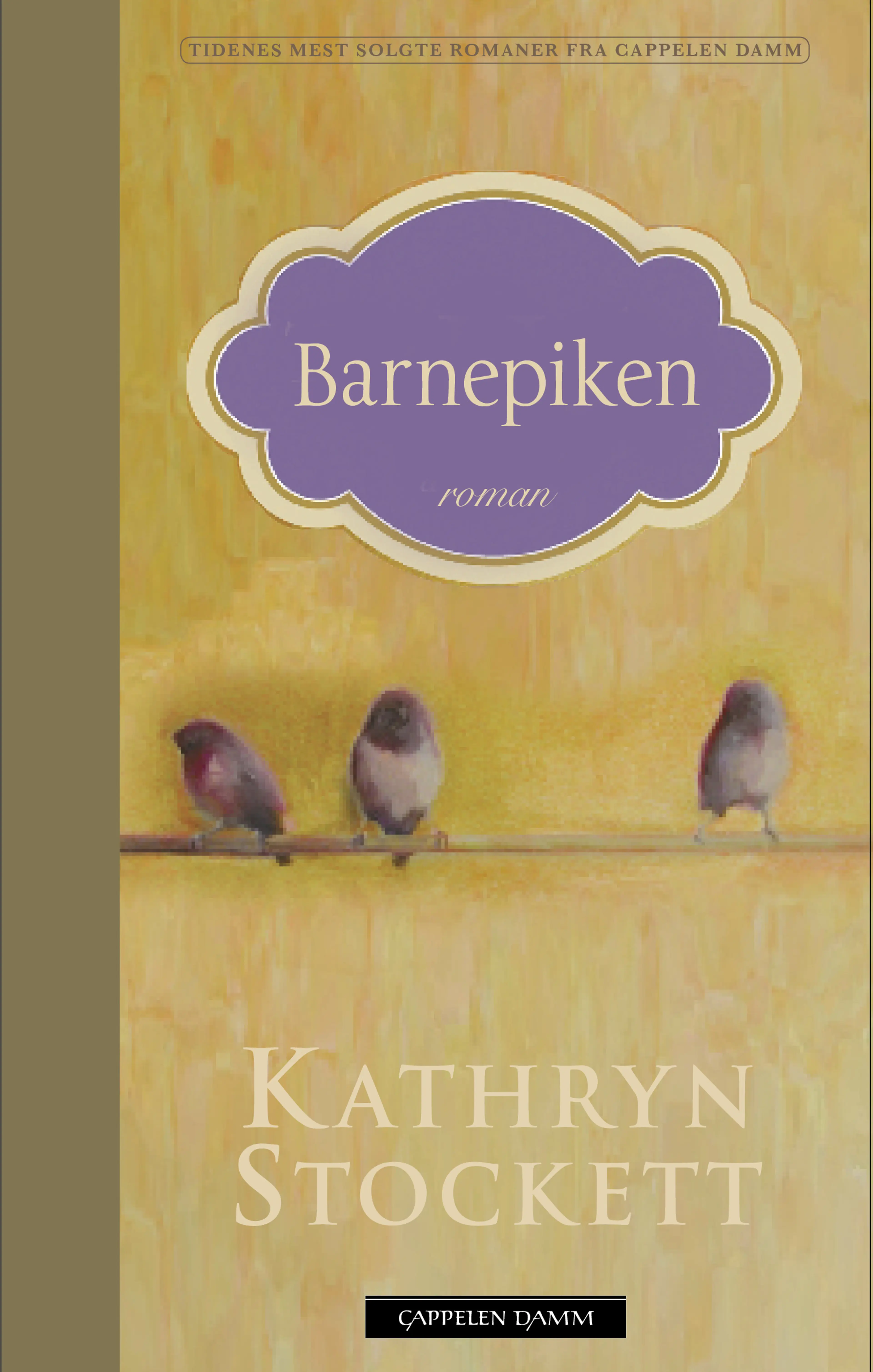 Omslag Barnepiken av Kathryn Stockett (Innbundet)