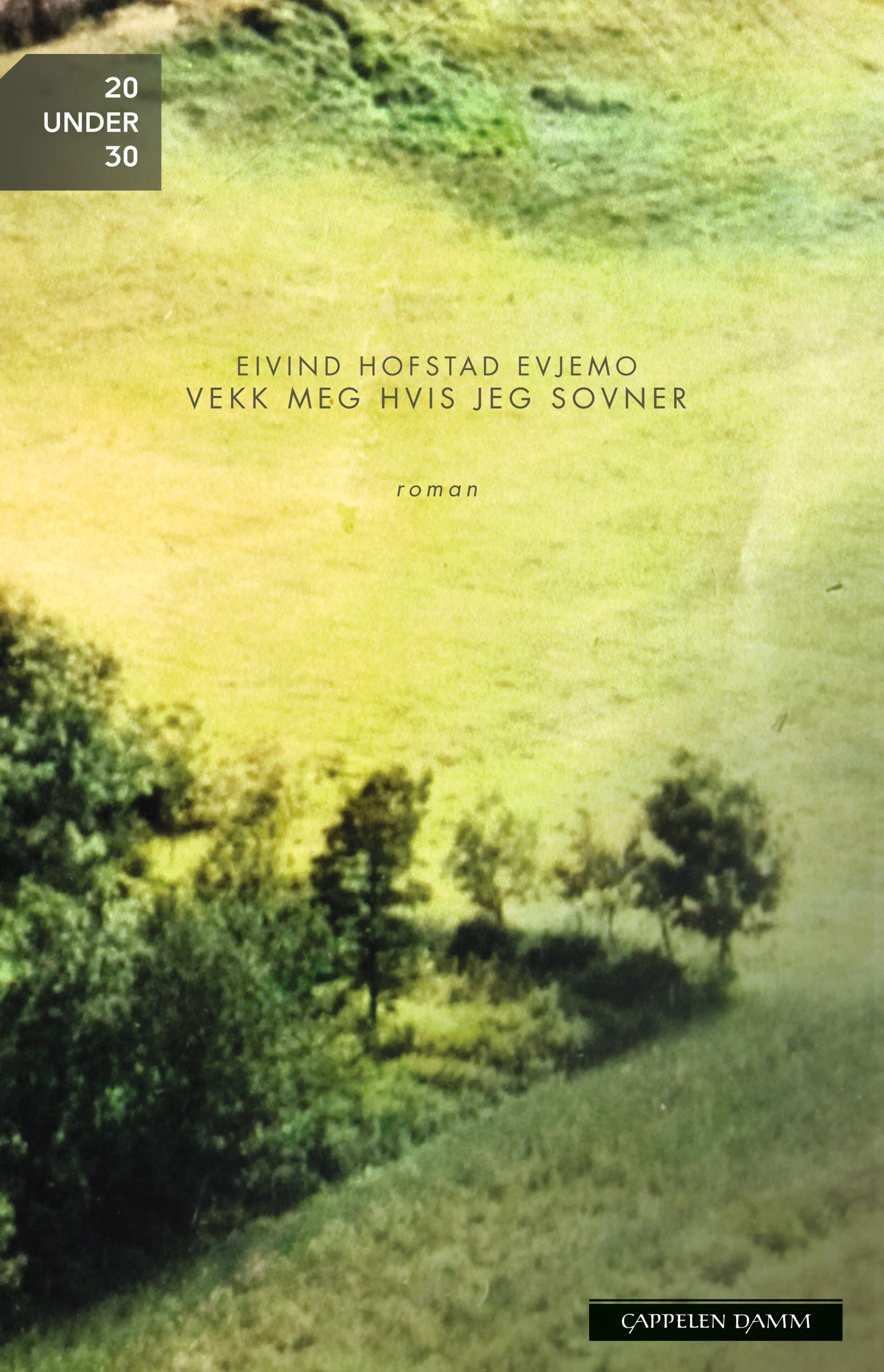 Omslag Vekk meg hvis jeg sovner av Eivind Hofstad Evjemo (Ebok)