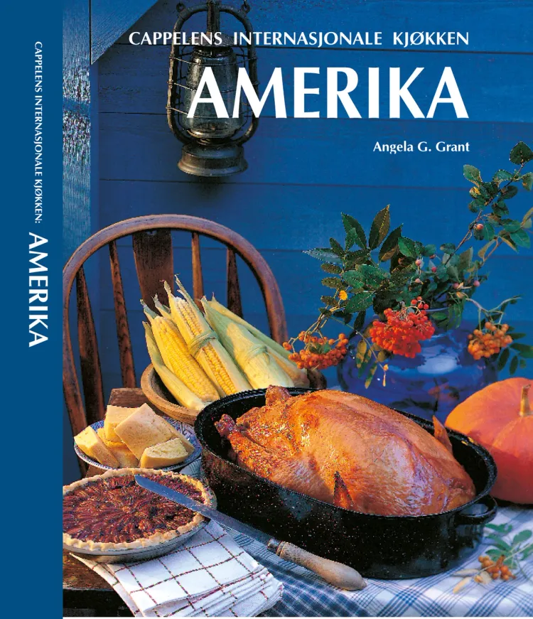 Omslag Amerika av Angela Grant (Innbundet)
