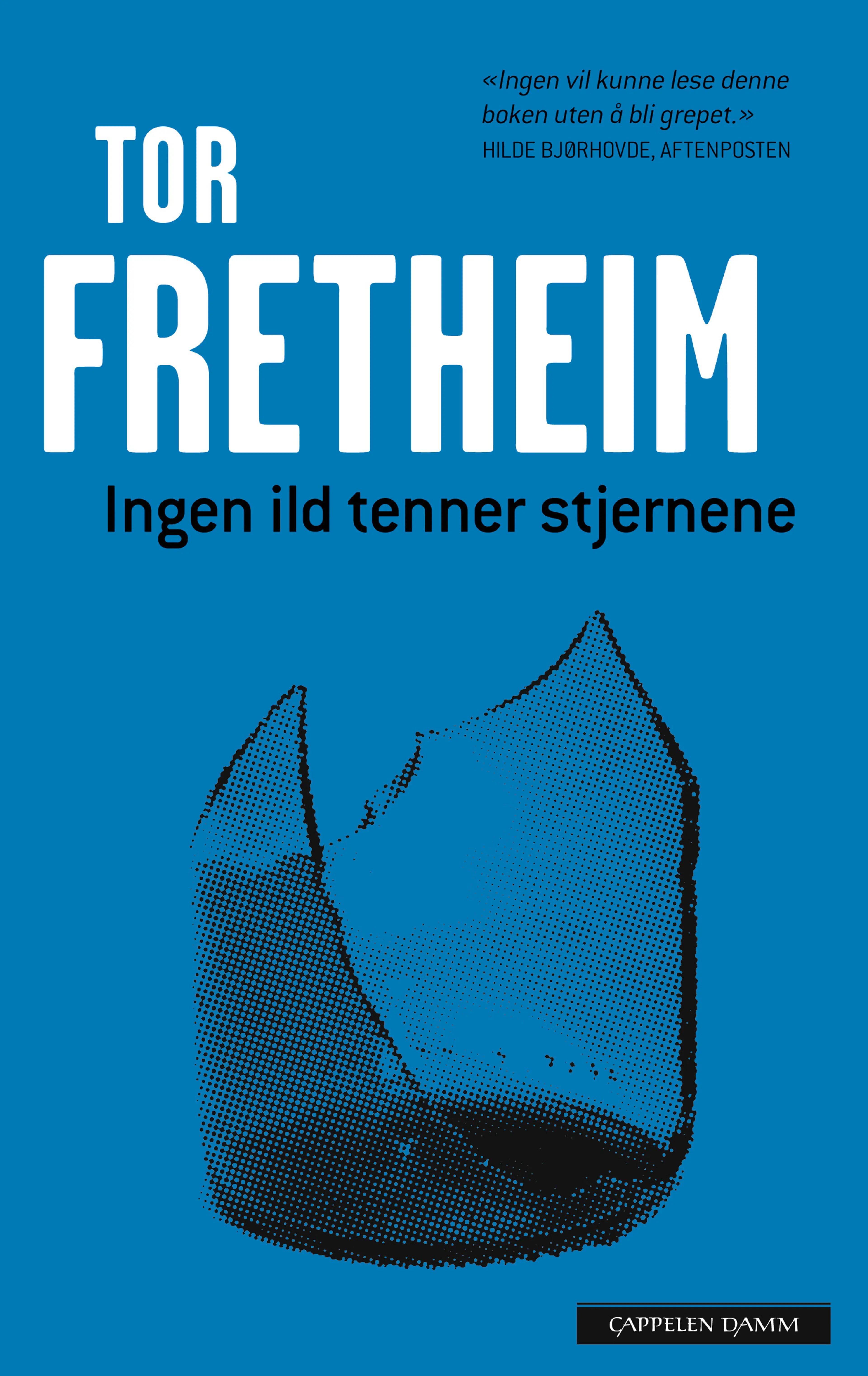 Omslag Ingen ild tenner stjernene av Tor Fretheim (Innbundet)