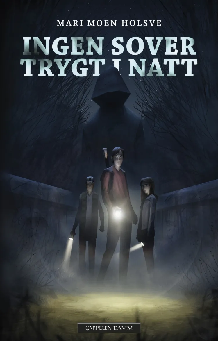 Omslag Ingen sover trygt i natt av Mari Moen Holsve (Innbundet)
