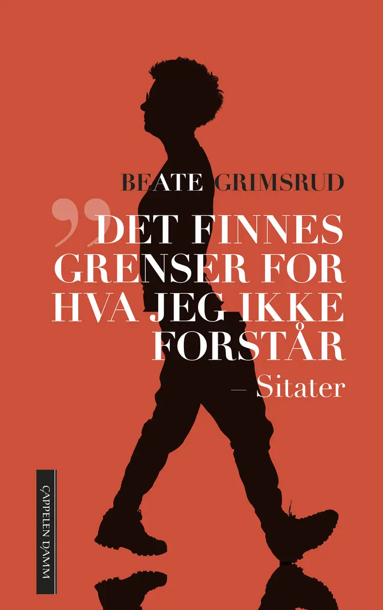 Omslag Det finnes grenser for hva jeg ikke forstår av Beate Grimsrud (Innbundet)