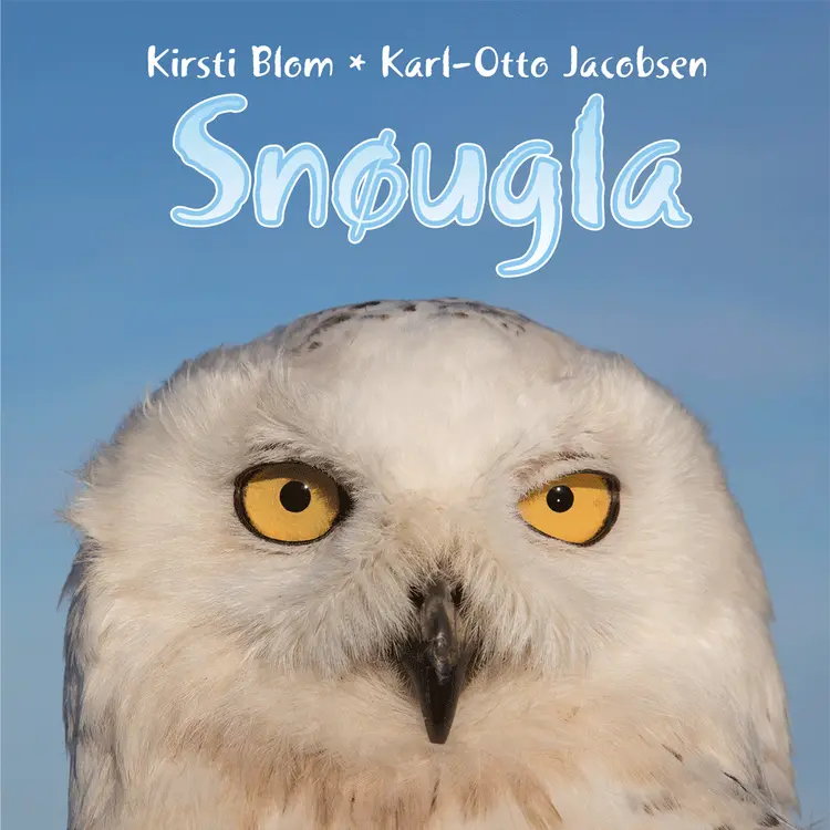 Omslag Snøugla av Kirsti Blom og Karl-Otto Jacobsen (Lydbok)