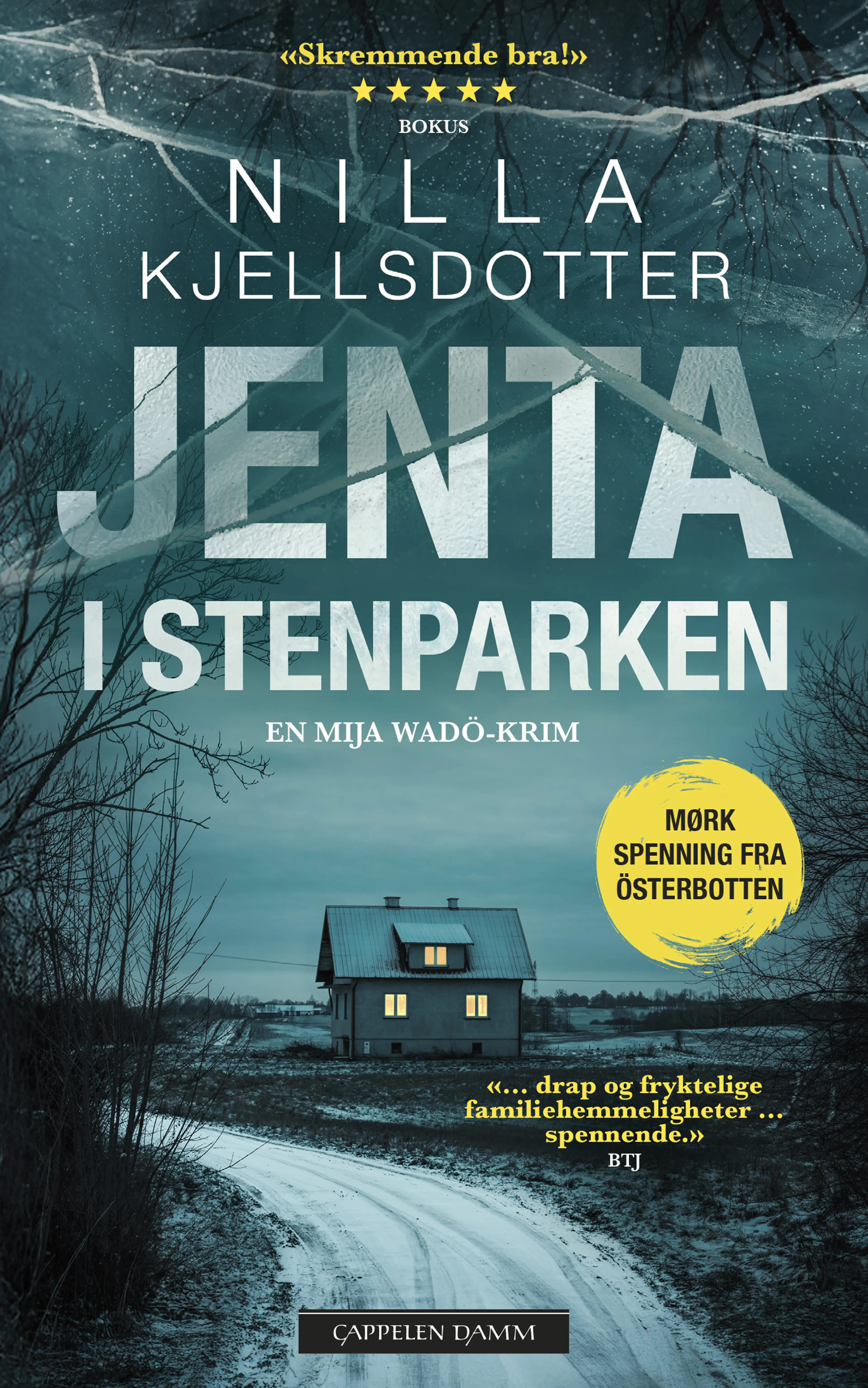 Omslag Jenta i Stenparken av Nilla Kjellsdotter (Ebok)