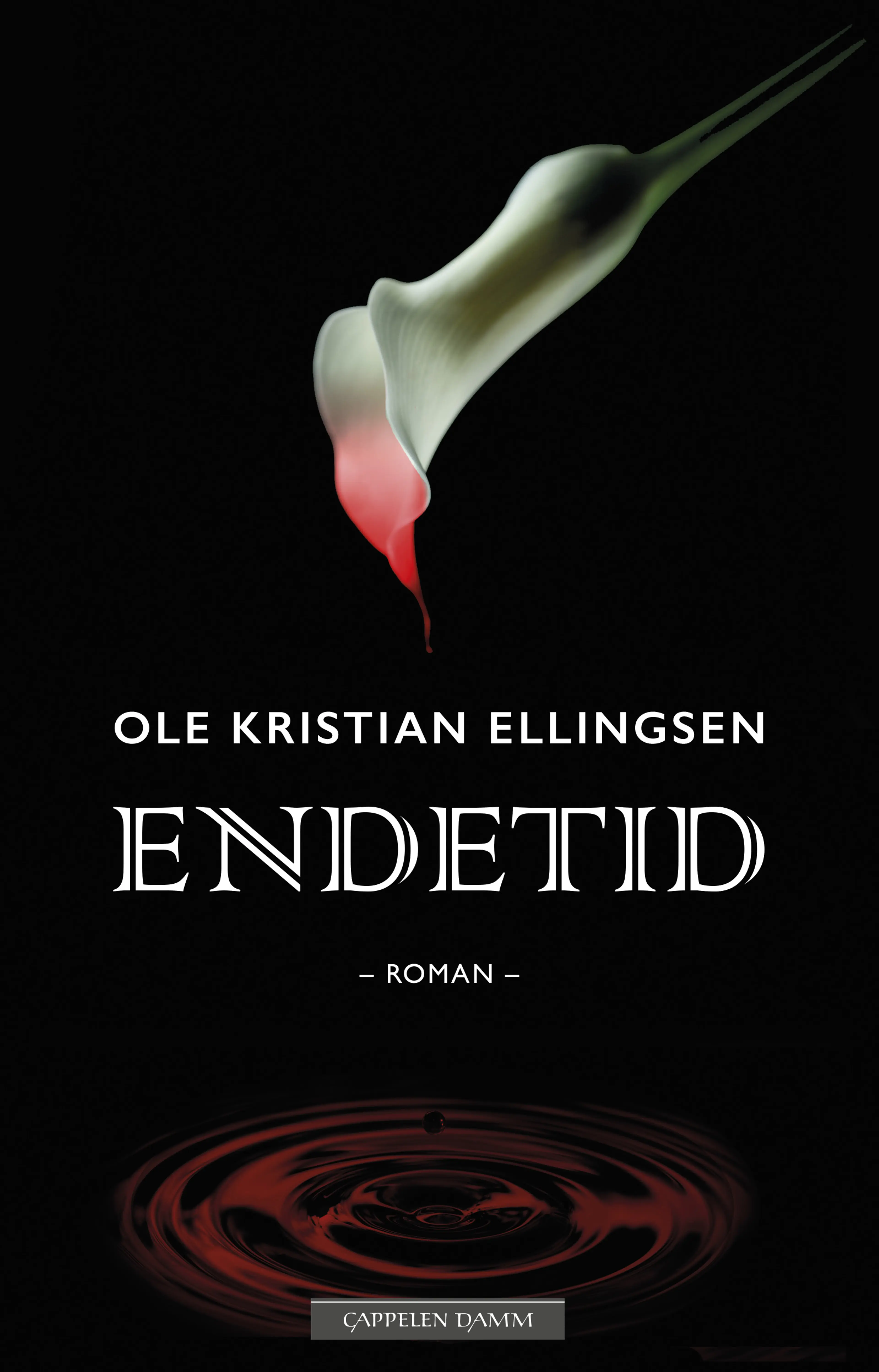 Omslag Endetid av Ole Kristian Ellingsen (Ebok)