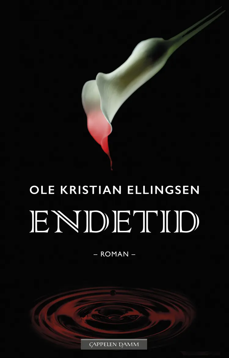 Omslag Endetid av Ole Kristian Ellingsen (Ebok)
