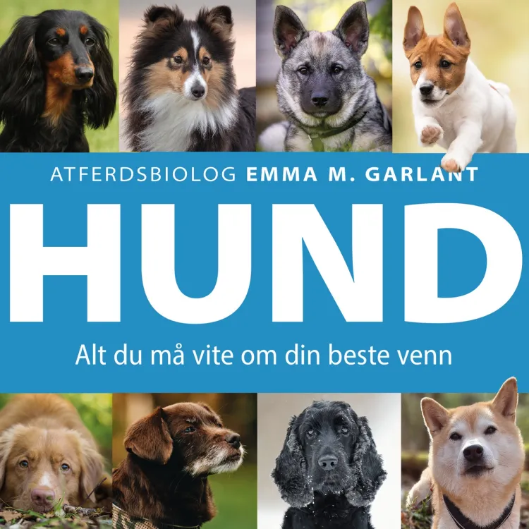 Omslag HUND - Alt du må vite om din beste venn av Emma M. Garlant (Lydbok)